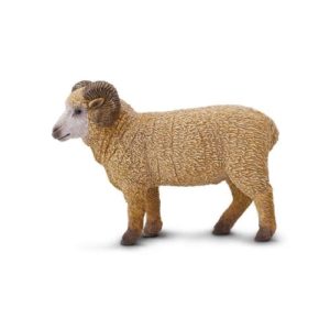 SF Ram