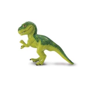 Tryannosaurus Rex Baby