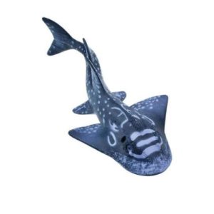 Shark Ray