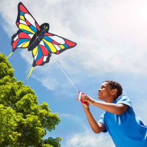 Mini Butterfly Kite